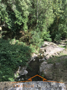 888064 27638363n