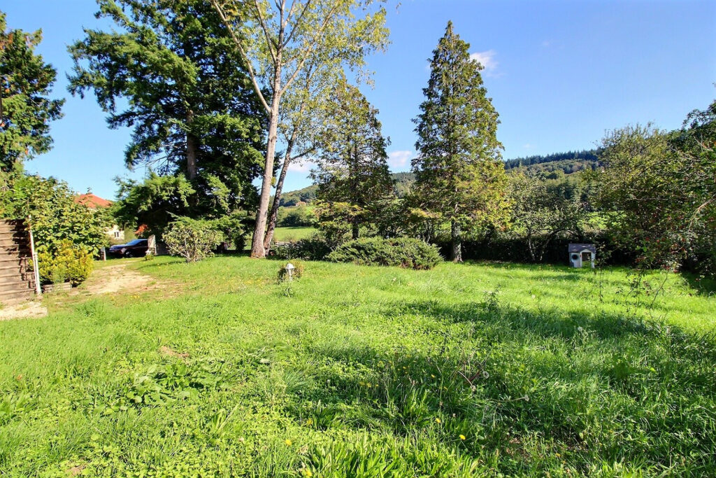 1180538 54018535n