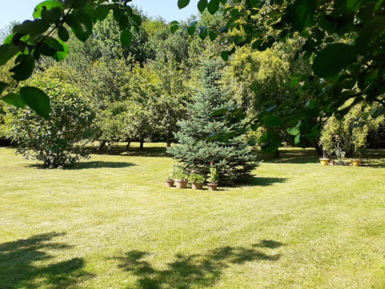 1205884 59397786a
