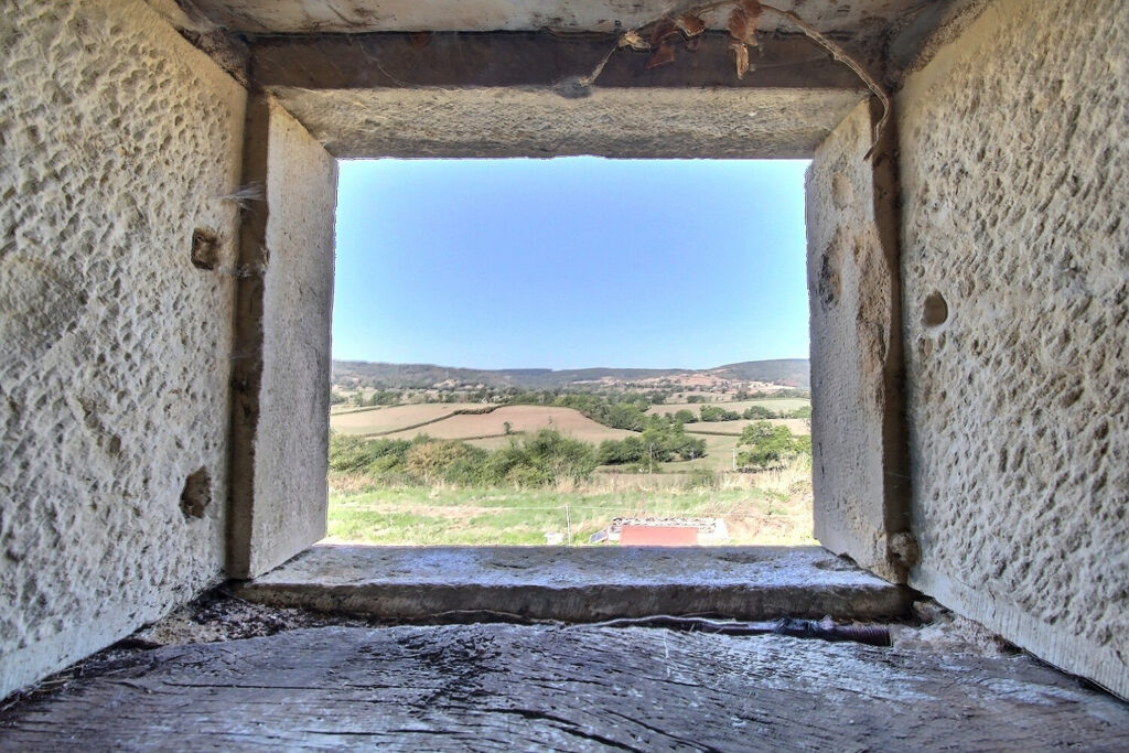 1681534 61473229n